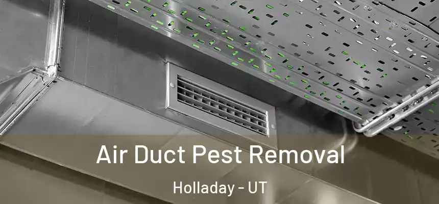 Air Duct Pest Removal Holladay - UT