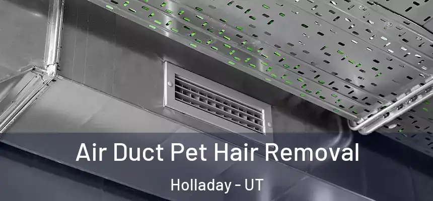 Air Duct Pet Hair Removal Holladay - UT
