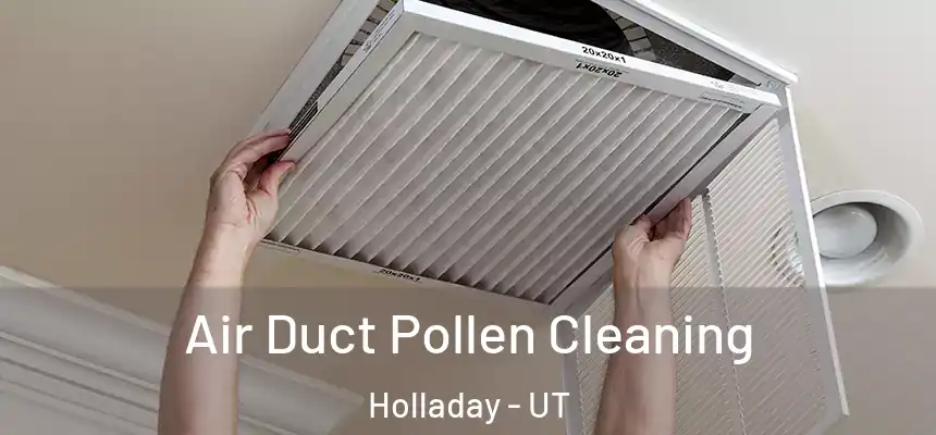  Air Duct Pollen Cleaning Holladay - UT