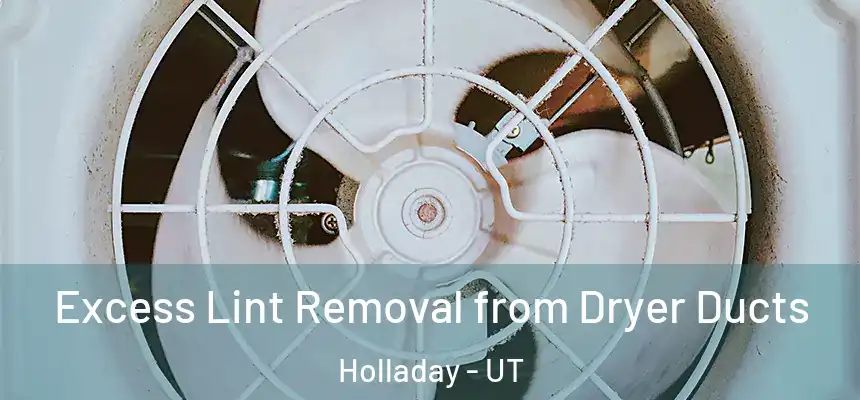 Excess Lint Removal from Dryer Ducts Holladay - UT