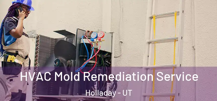  HVAC Mold Remediation Service Holladay - UT