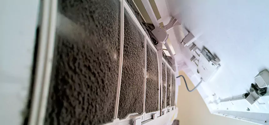 Preventive Air Duct Bacteria Removal in Holladay