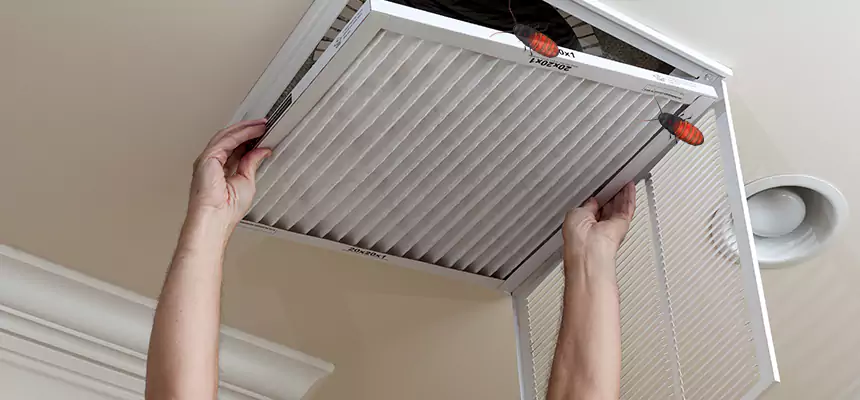 Preventive Cockroach-Proofing for Ducts in Holladay