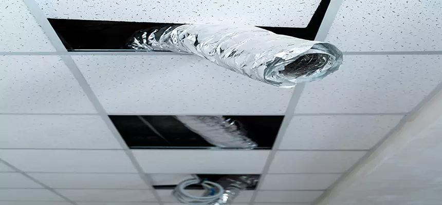 Affordable HVAC Sanitizing After Pest Removal in Holladay