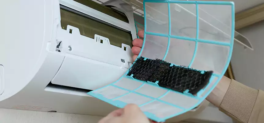 Gentle Ductwork Odor-Control Pet Dander Duct Cleaning in Holladay, UT