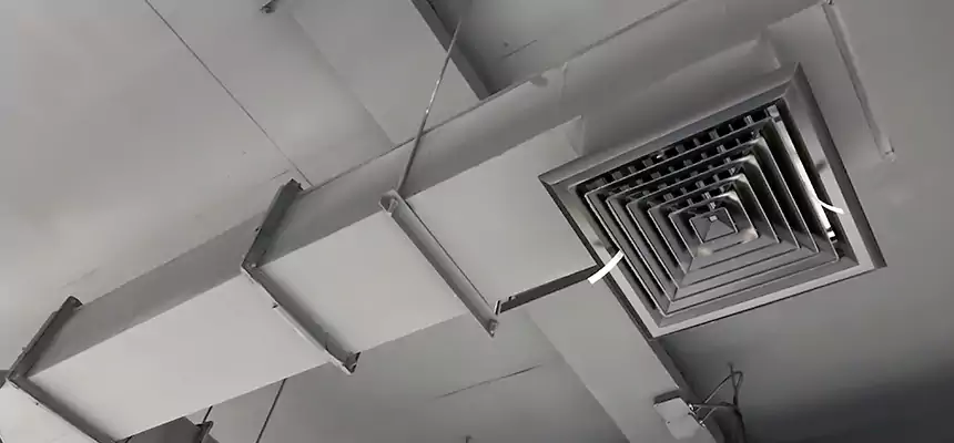 Our Rodent Droppings In Vents Services in Holladay, UT