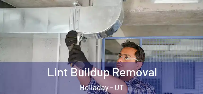 Lint Buildup Removal Holladay - UT