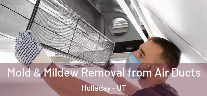 Mold & Mildew Removal from Air Ducts Holladay - UT