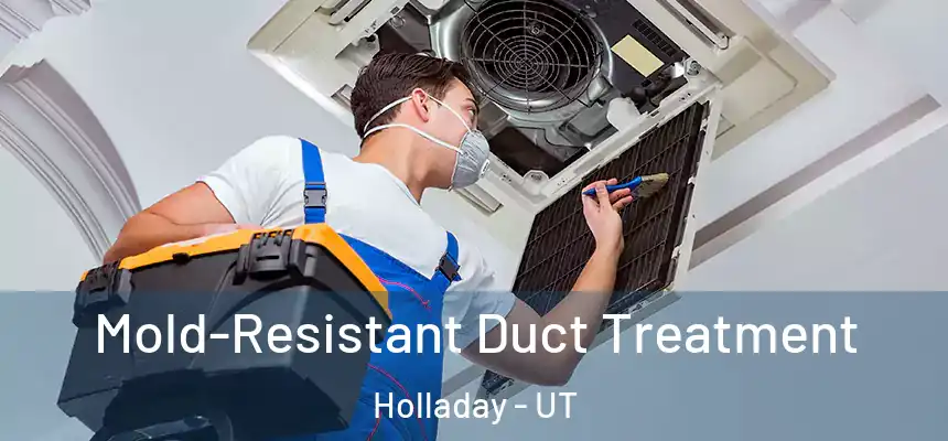 Mold-Resistant Duct Treatment Holladay - UT