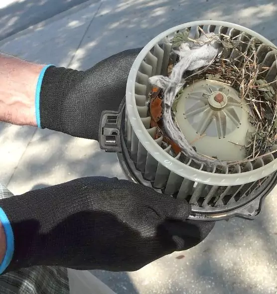 About Air Duct Mice Removal in Holladay, UT