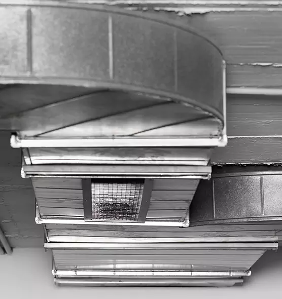 Professional Air Duct Pest Removal in Holladay, UT