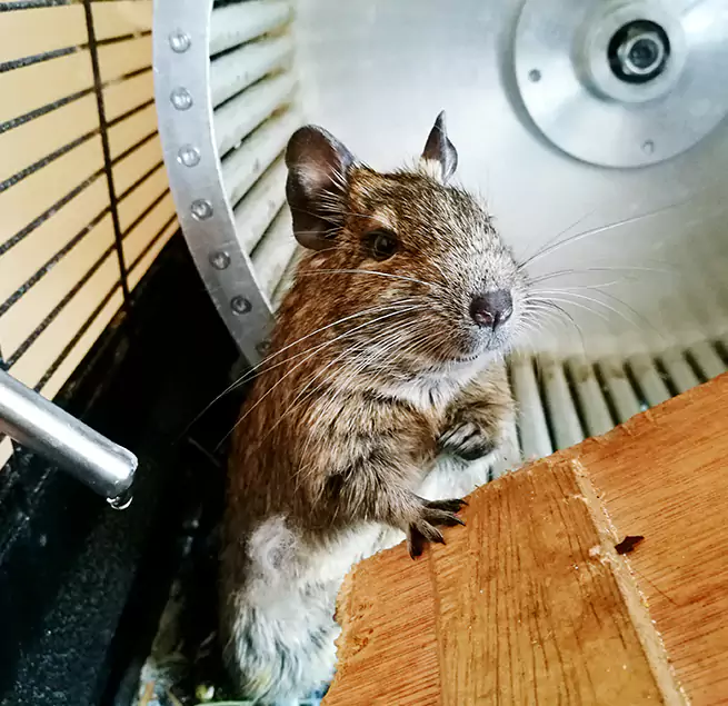 Why Homeowners & Businesses Trust Us Holladay, UT