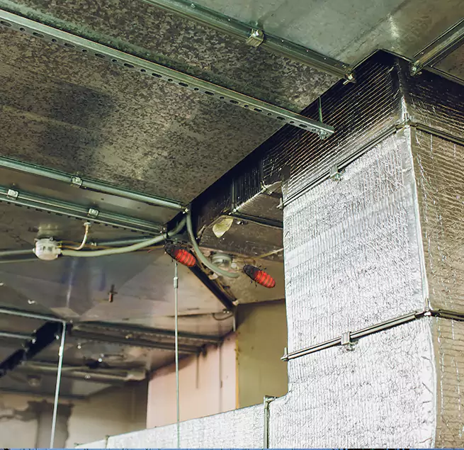 Why Homeowners & Businesses Trust Us Holladay, UT?