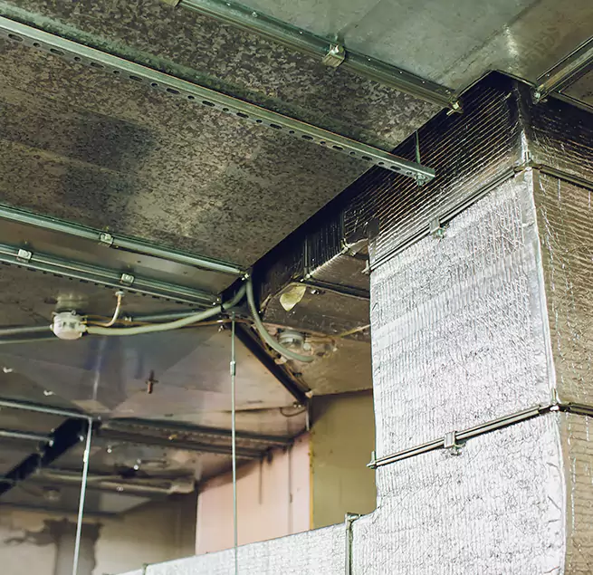 Why Homeowners & Businesses Trust Us in Holladay, UT?