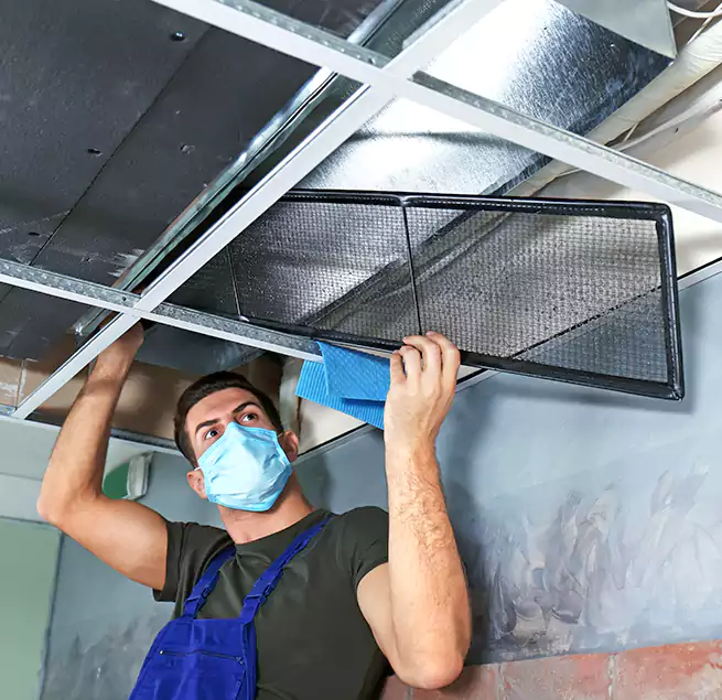 Why Homeowners Businesses Trust Us in Holladay, UT